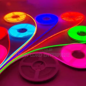 All Colors Available24V /12v and 220V Direct Power COB Light 10meters