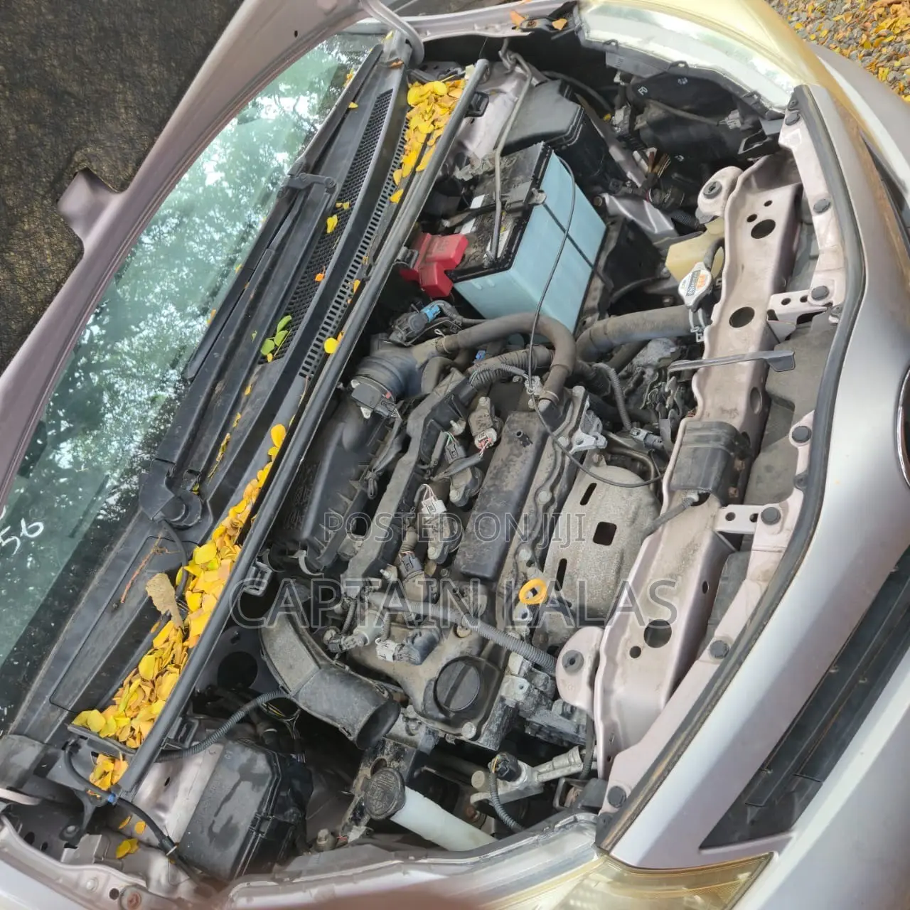 Toyota Vitz 1.3 AWD 5dr 2013 Pearl
