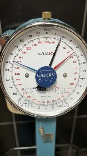 150kg Camry Analog Commercial Weighing Scale H