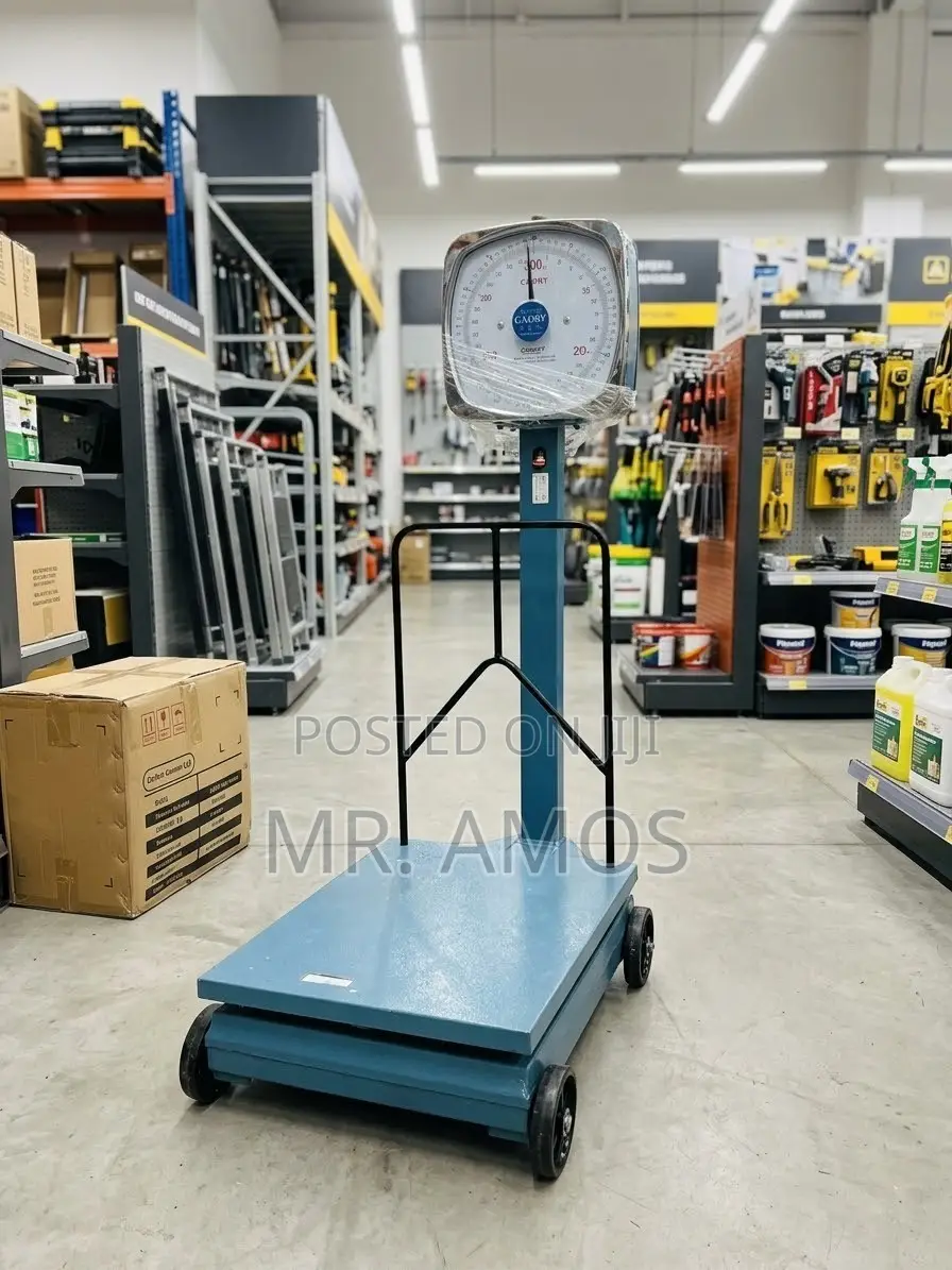 300kg Camry Analog Scale - H
