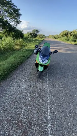 Yamaha 2009 Green