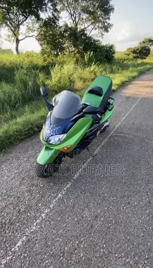 Yamaha 2009 Green