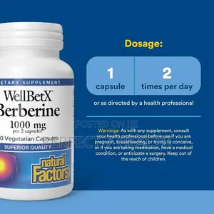 WellBetX Berberine, 500 Mg, Blood Sugar Balance, 60 Veggie Capsules