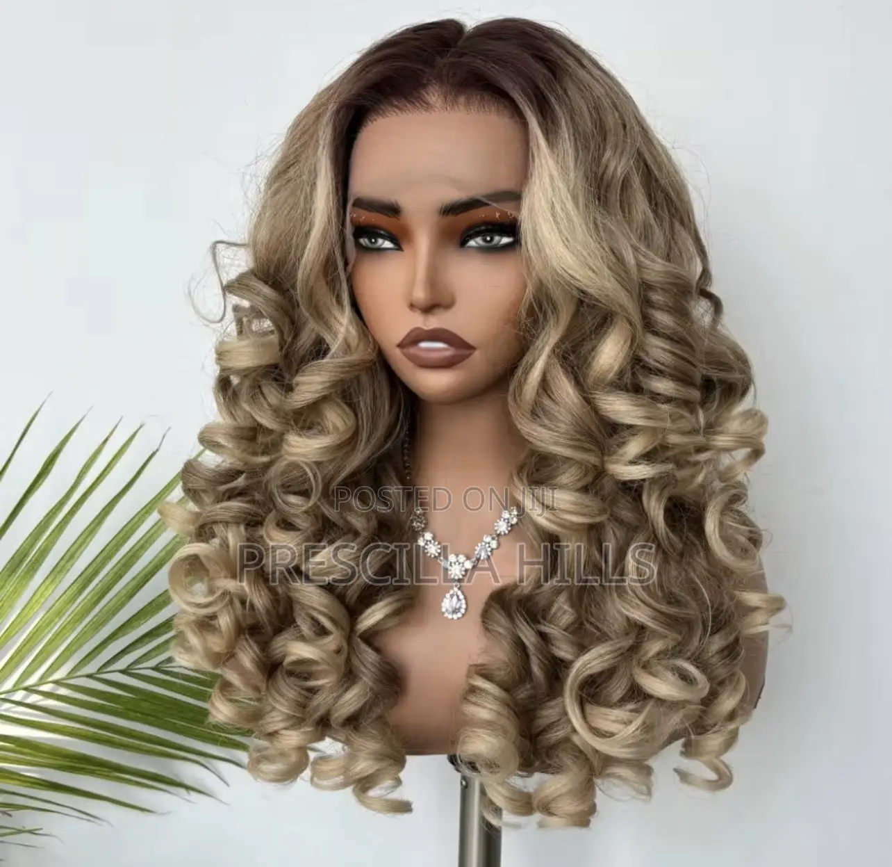 100 Percent Humour Hair Quality Humour Hair Blend and Beauty Things