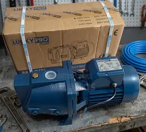 Luckypro 1hp Self-Priming Cast Surface Water Pump