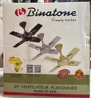Binatone Short Blade Fan