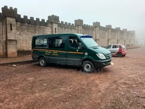 Mercedes-Benz Sprinter 2012 Green