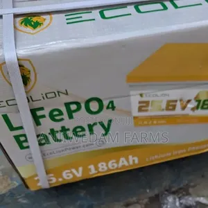 25.6v 186ah (4.7kwh) Lithium Battery