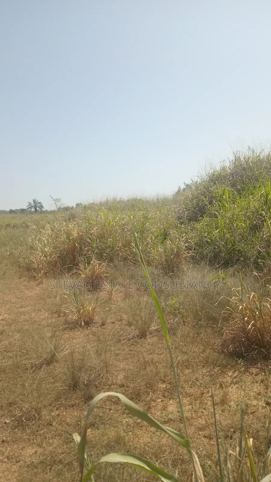 Alpha Estate Land for Sale at Nsawam Otukwadzo