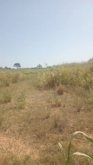Alpha Estate Land for Sale at Nsawam Otukwadzo