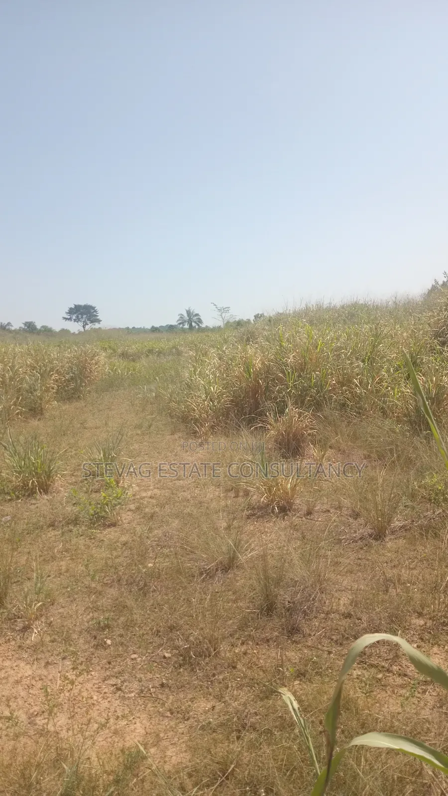 Alpha Estate Land for Sale at Nsawam Otukwadzo