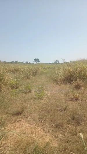 Alpha Estate Land for Sale at Nsawam Otukwadzo
