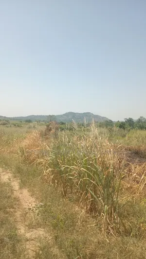 Alpha Estate Land for Sale at Nsawam Otukwadzo