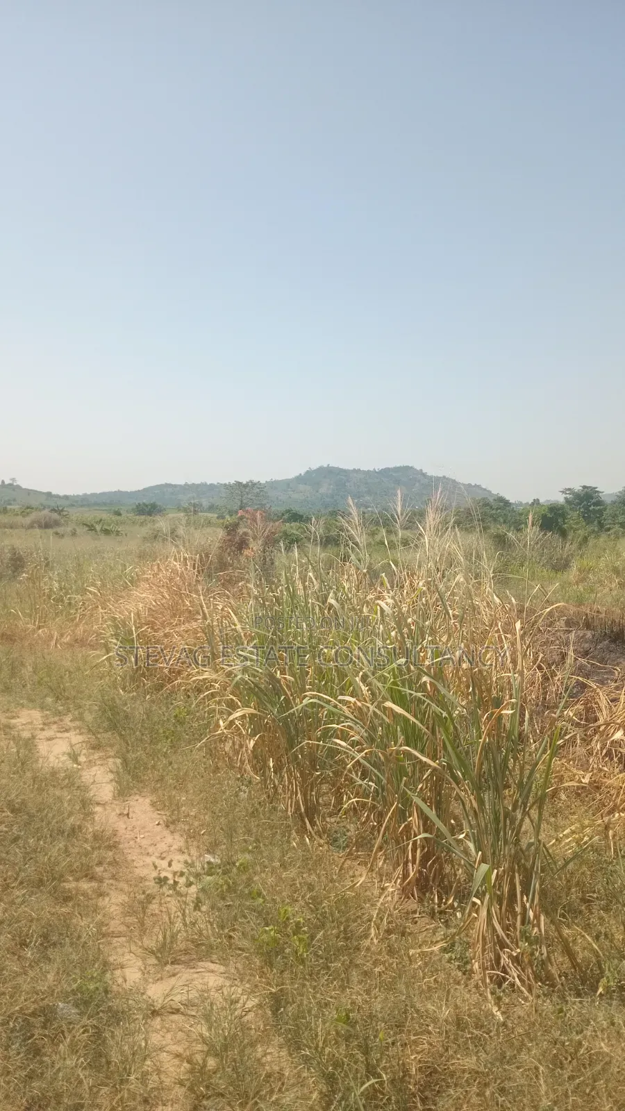 Alpha Estate Land for Sale at Nsawam Otukwadzo