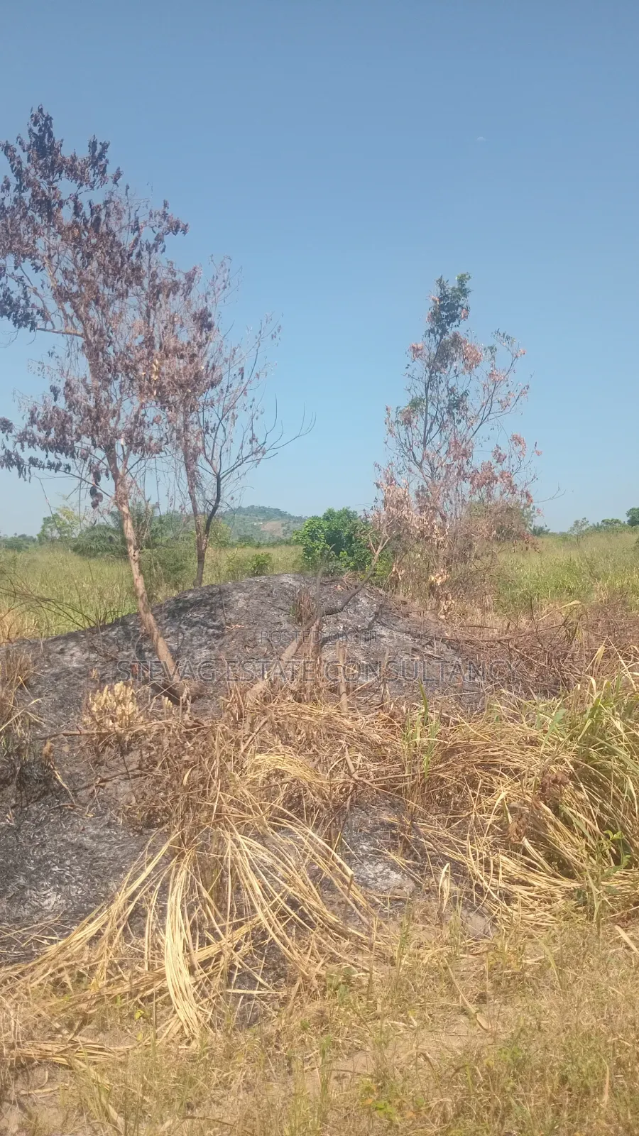 Alpha Estate Land for Sale at Nsawam Otukwadzo