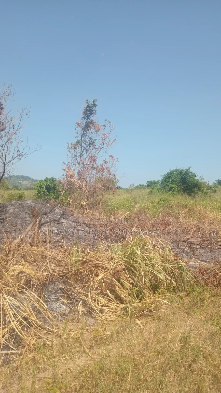 Alpha Estate Land for Sale at Nsawam Otukwadzo