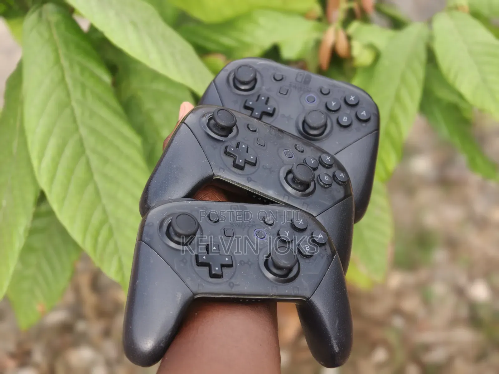 Nintendo Switch Pro Controller