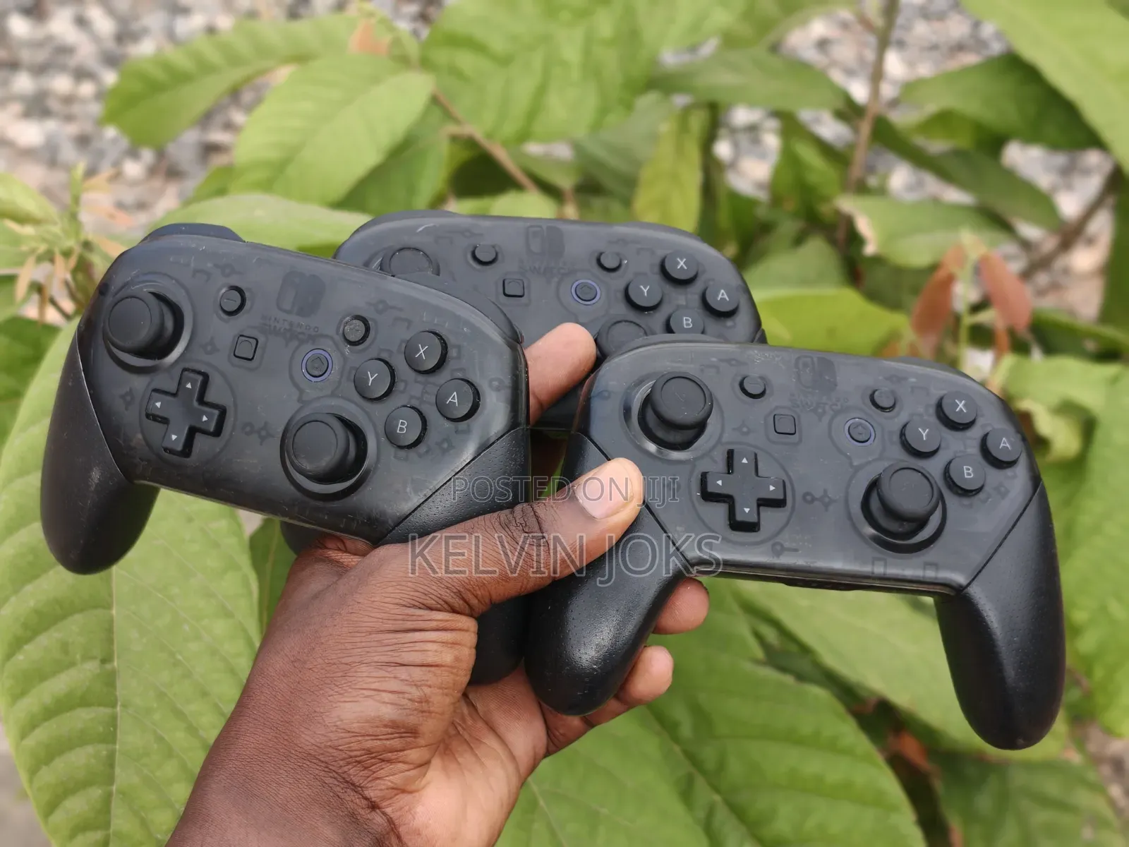 Nintendo Switch Pro Controller