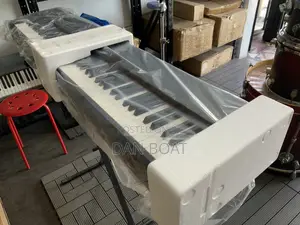 88-Keys Electric Piano With Many Tones