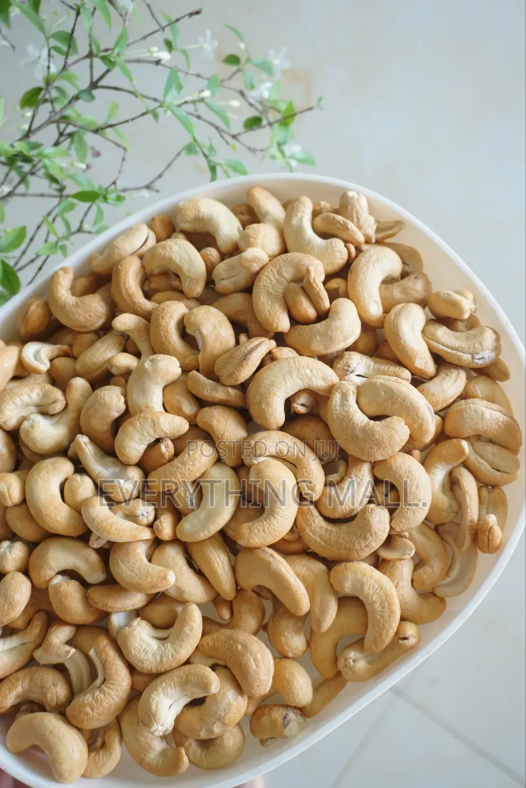 Premium Roasted Cashew Nuts in Glass Bottles (Fresh & Crunchy)