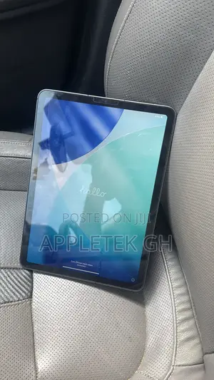 Apple iPad Air 256 GB Gray