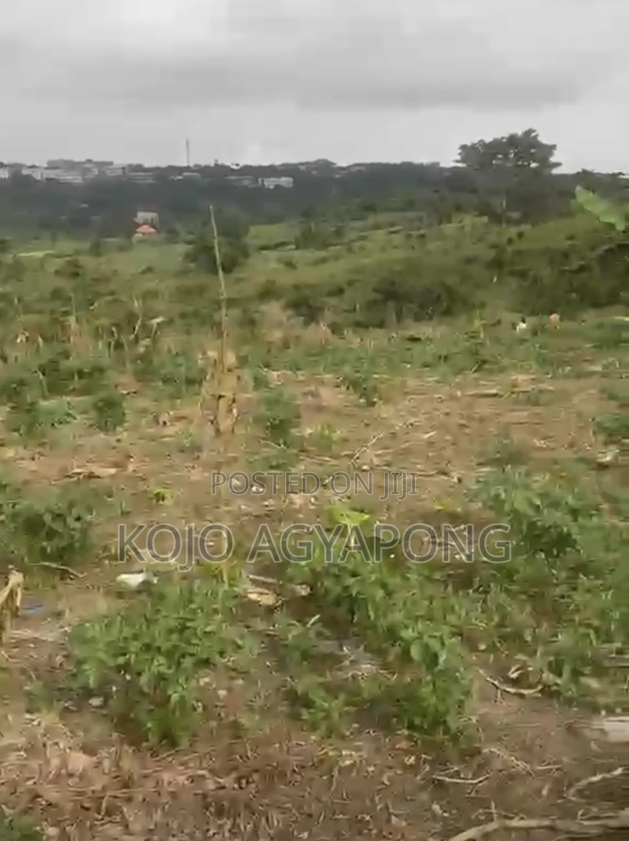 Land for Sale