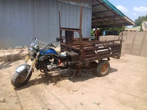 Royal Motorcycle 2020 Brown