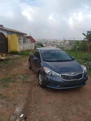 Kia Forte 2015 Gray