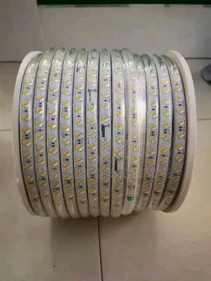 ZXXk/ Home Decor SMD Rope Light 2color 100meters