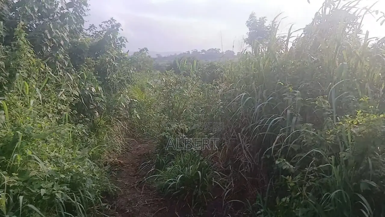 Land 4 Sale