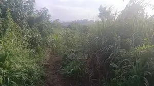Land 4 Sale