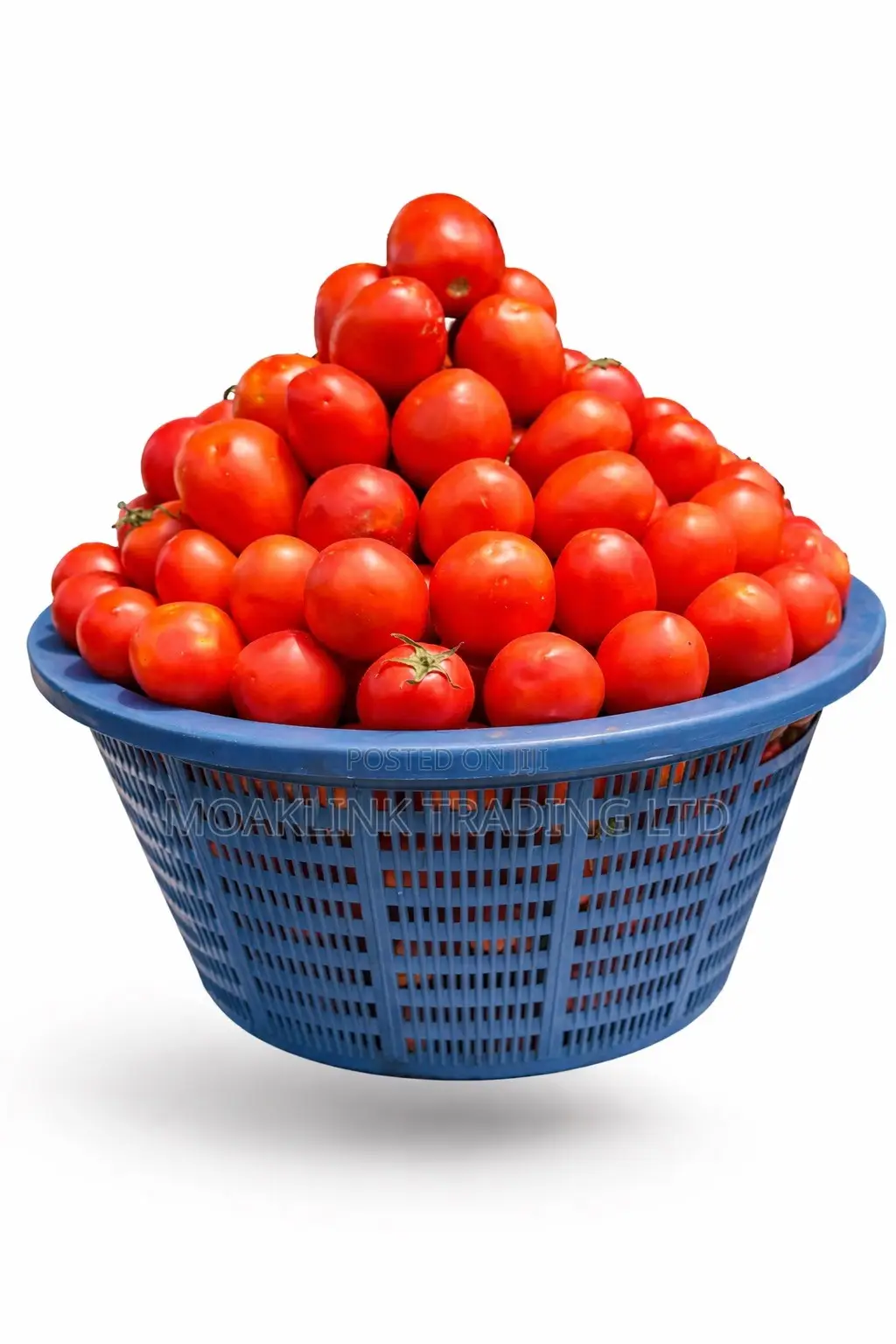 Fresh Tomato 1 Basket (14-15kg)