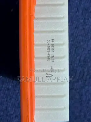 Jaguar XF/ XJ Air Filter