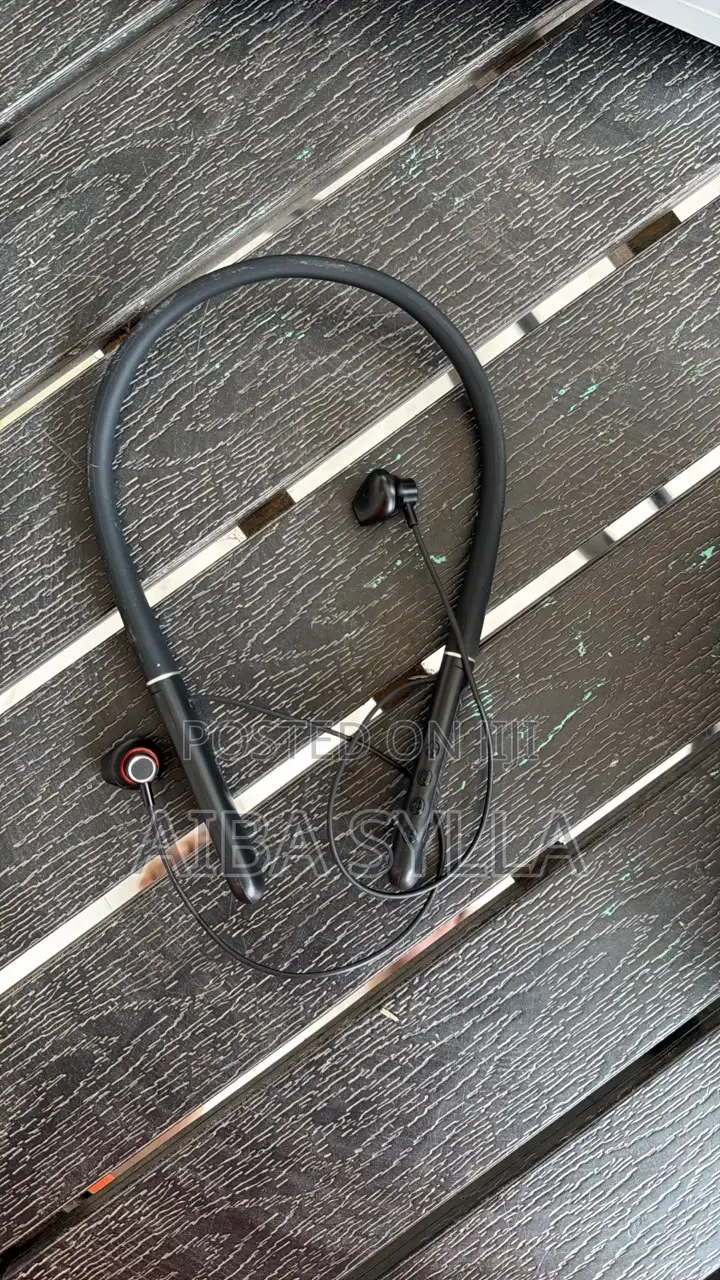 Spectrum V21/V24 Neckband Headset