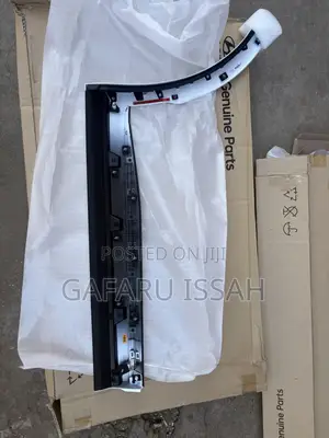 Hyundai Pallaside 2018- Back Door Moulding