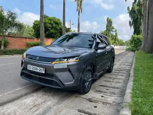 Electric Car for Rentals