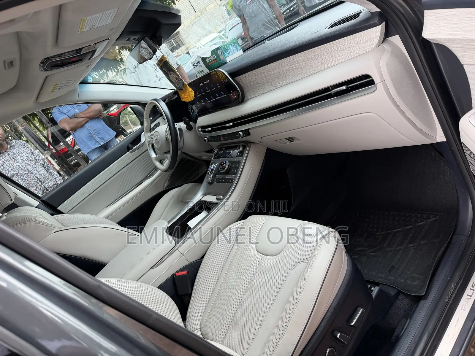 Hyundai Palisade Limited 2023 Green