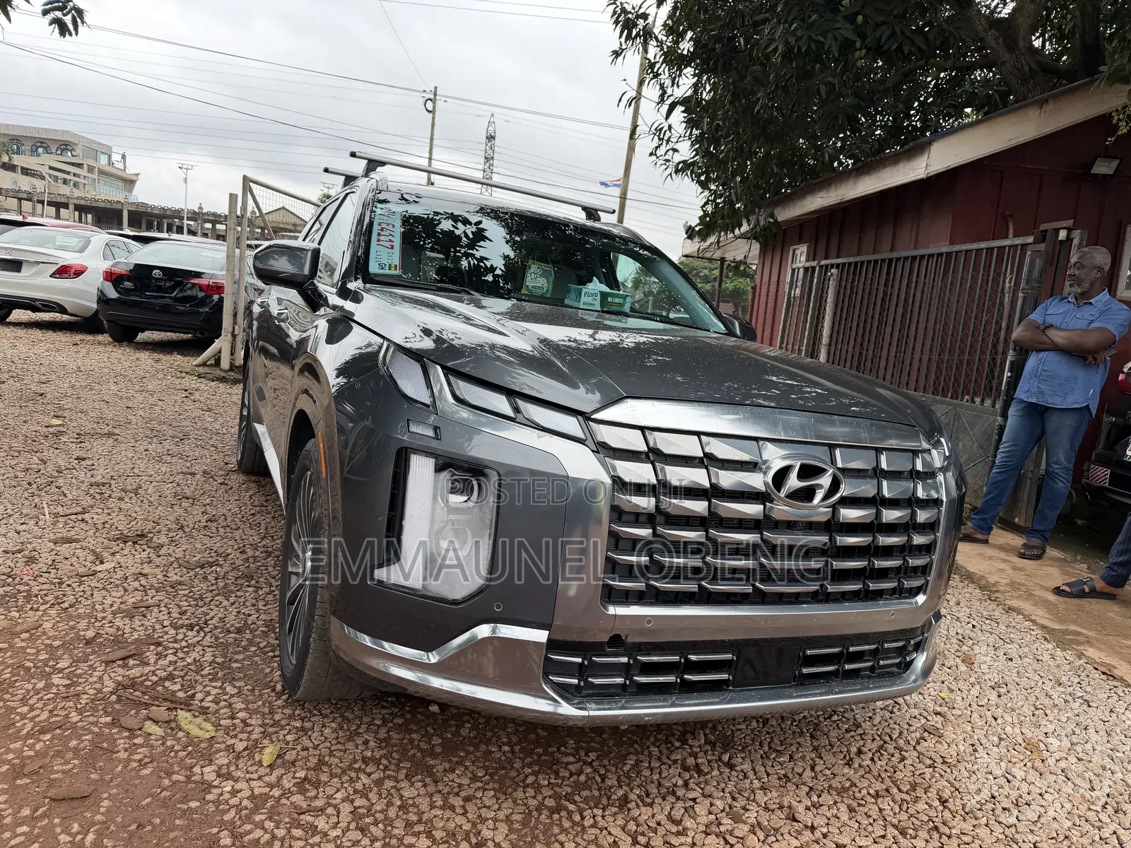 Hyundai Palisade Limited 2023 Green