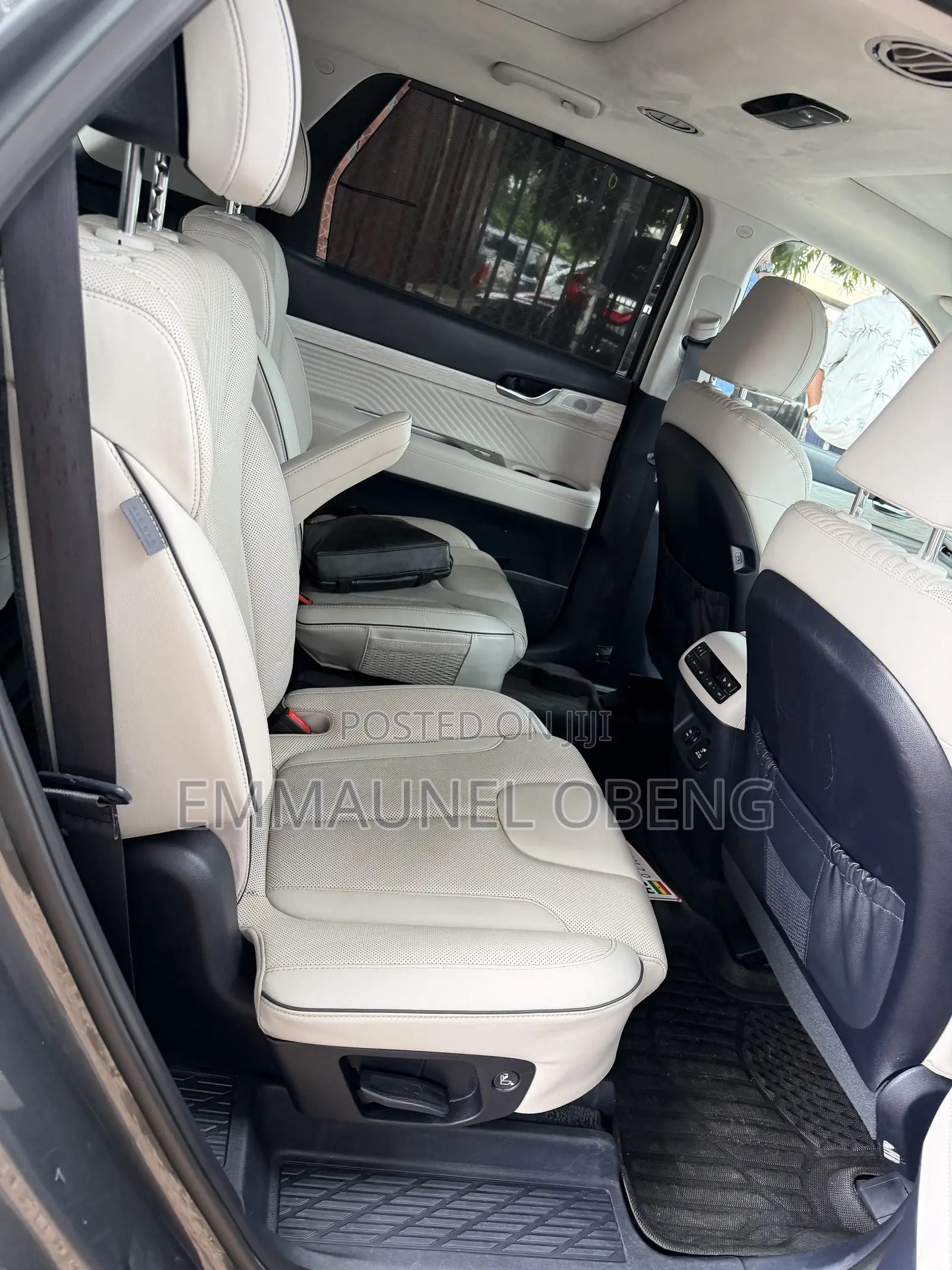 Hyundai Palisade Limited 2023 Green