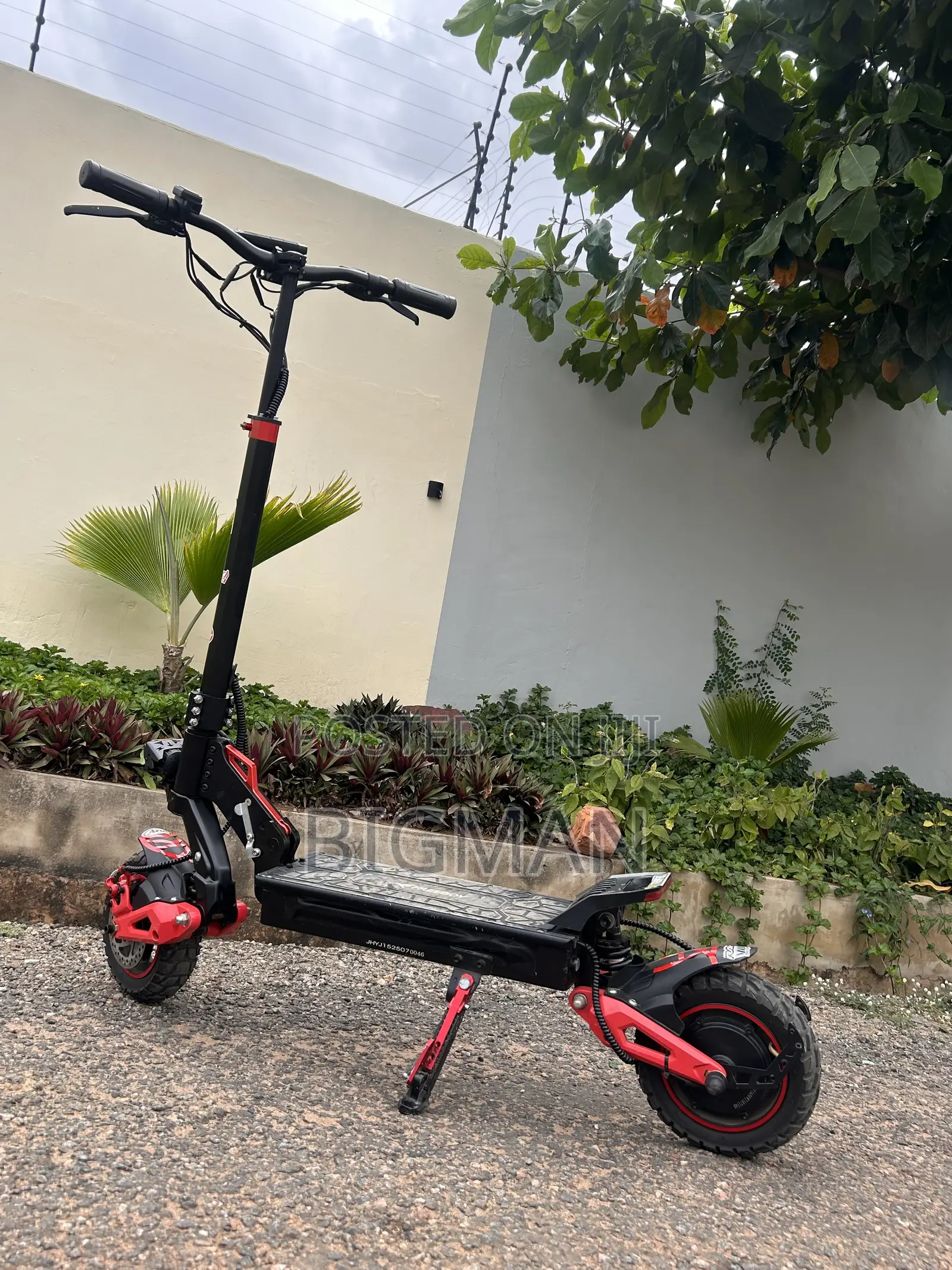 Electric Scooter