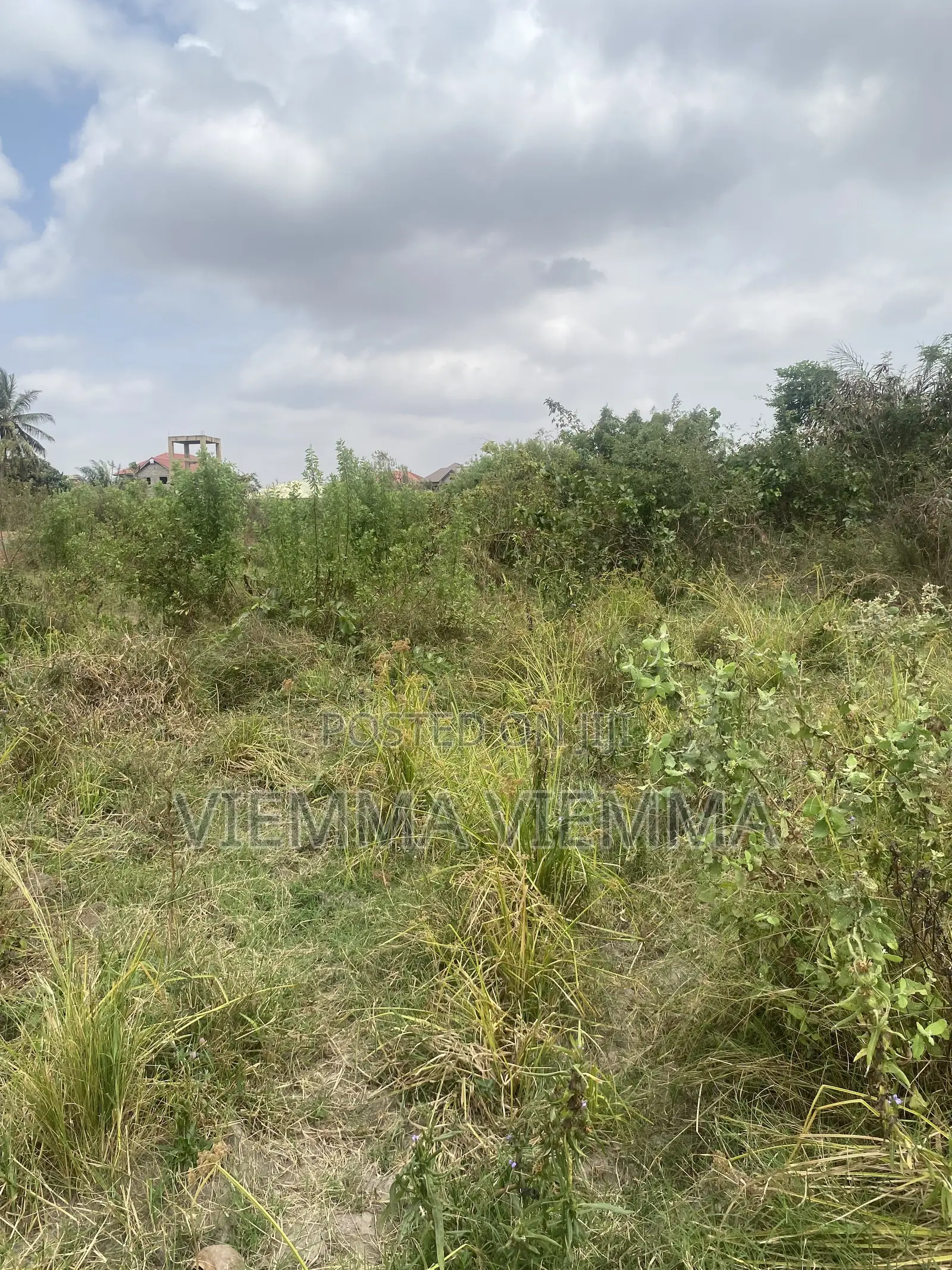 1 Acre Roadside Land for Sale at Oyibi