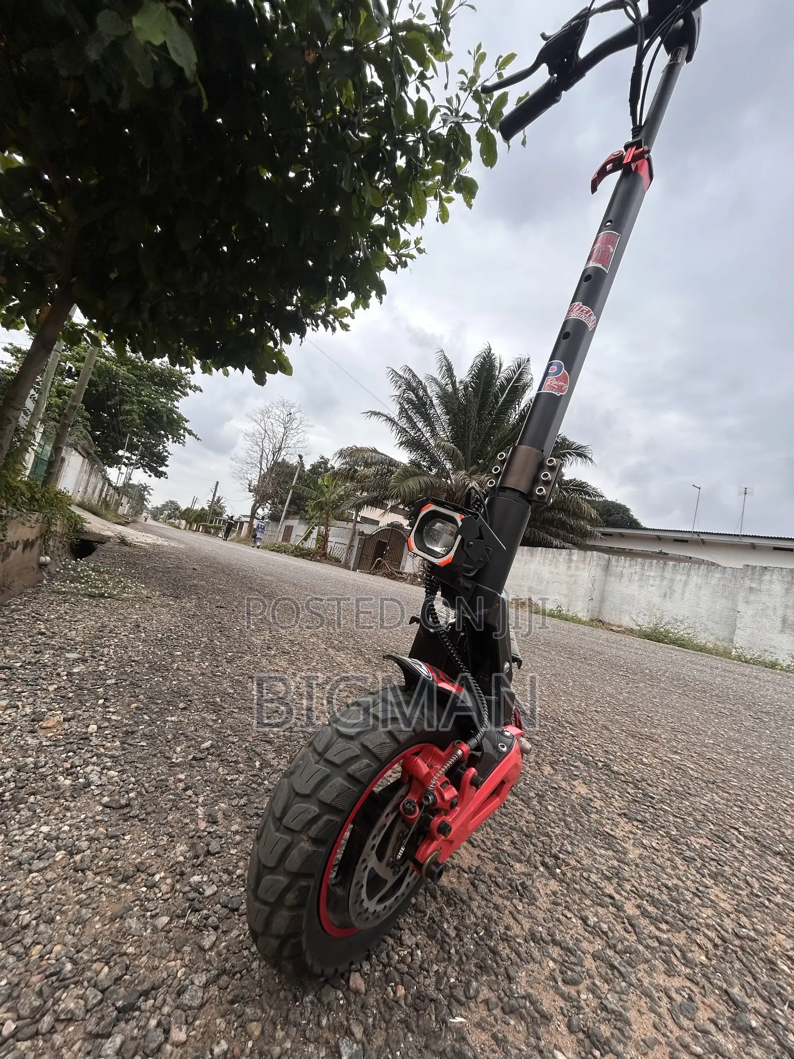 Electric Scooter