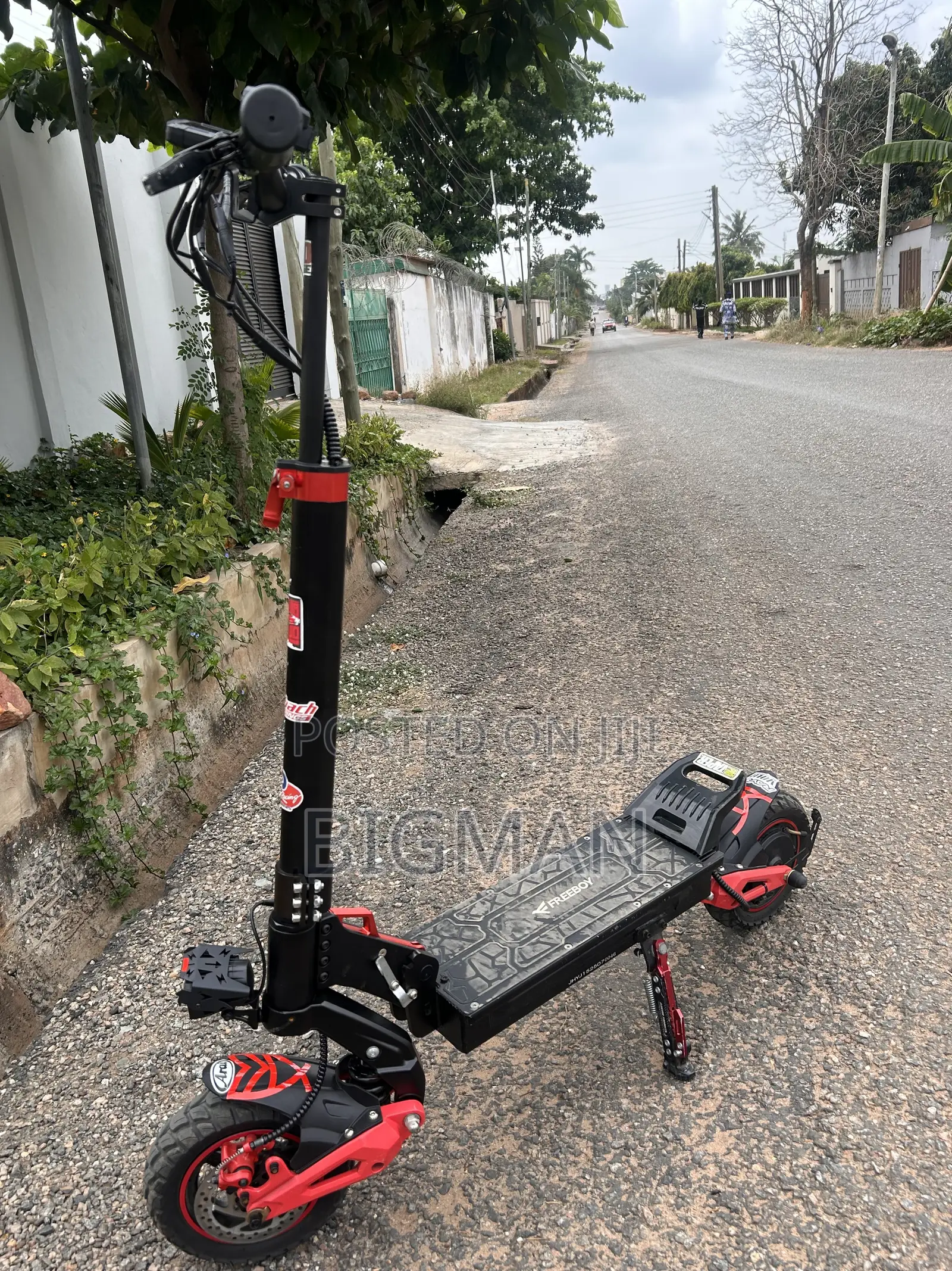 Electric Scooter