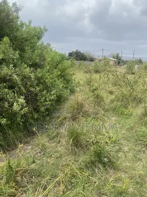 1 Acre Roadside Land for Sale at Oyibi