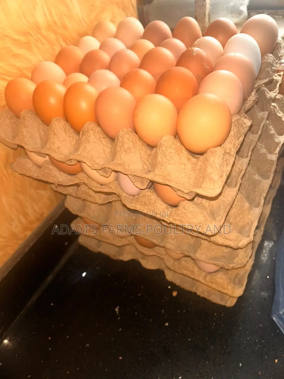 Chicken Table Eggs