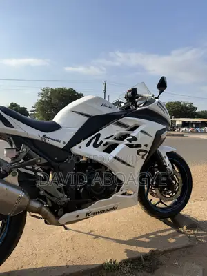 Kawasaki Ninja 300 2017 White