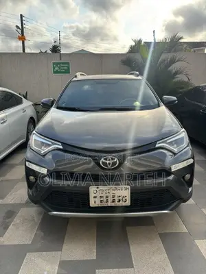 Toyota RAV4 SE AWD (2.5L 4cyl 6A) 2016 Gray