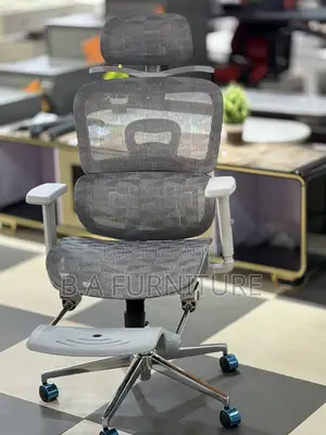 Orthopedic Net Chair With Recliner