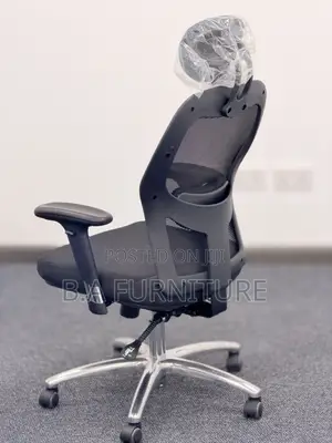 Ergonomic Chair