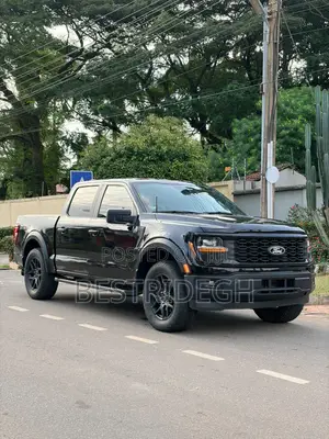 Ford F-150 STX 2024 Black